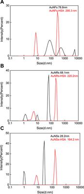 Interactions between gold nanoparticles with different morphologies and human serum albumin